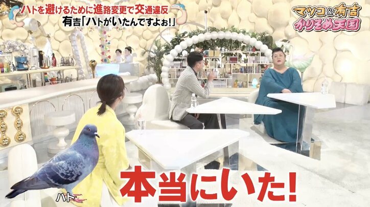 【写真・画像】【コピーして使ってください】かりそめ天国 2枚目