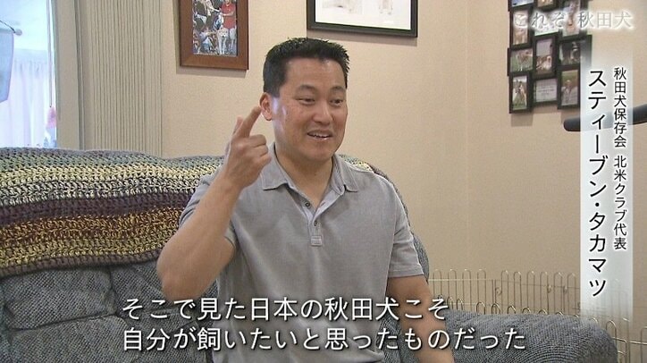 今や発祥の地に暮らすのはわずか30頭…プーチン大統領に贈られた「ゆめ」を育て上げた秋田犬ブリーダーの奮闘