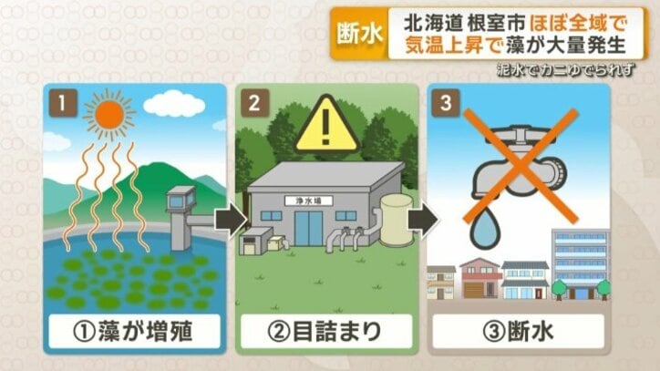 原因は気温