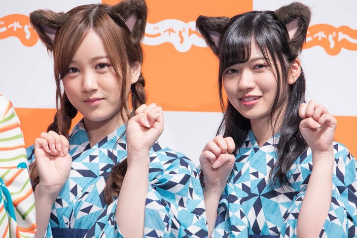 西野七瀬、猫との共演に「いっしょに寝たくなりました」 乃木坂46が猫耳でダンスを披露