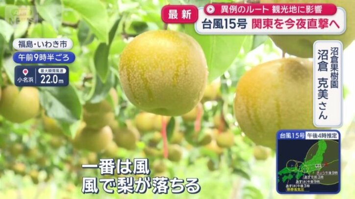 対応に追われる市内の梨園