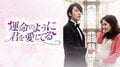 MBC演技大賞ほか数々の賞を受賞!主演2人の演技が光るドラマ「運命のように君を愛してる」