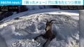 凍った川にすっぽり!! “どうすることもできない”ヒツジ 救助隊が腕を引っ張り無事帰還 アメリカ