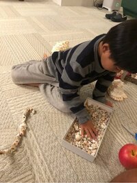 市川海老蔵『勸玄は』