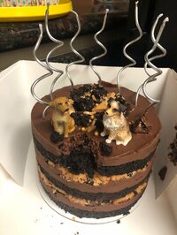 野沢直子『リベンジケーキ。笑笑』