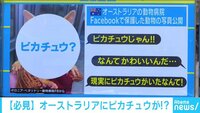 けやきヒルズ - ネットピ - "ピカチュウ" オーストラリアで捕獲される!? 他 (18/12/04) | 動画視聴は【Abemaビデオ(AbemaTV)】