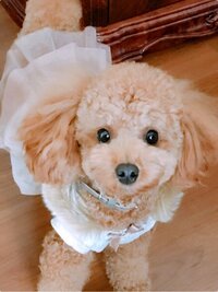 渡辺美奈代『初めての・・・』