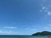 中澤裕子『晴れ』