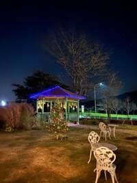 キャシー中島『御殿場のキャシーマムはクリスマスイルミネーション』