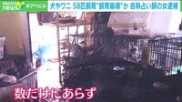 【映像】「獣臭がすごい」「犬が痩せていた」近所からも苦情