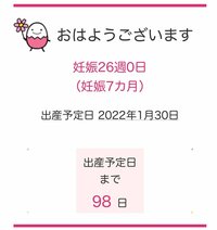 だいたひかる『出産予定日まで…』