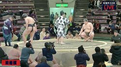 大横綱・大鵬の孫、納谷が前相撲で白星デビュー　雰囲気も十分