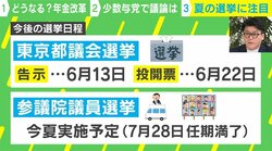 どうなる？年金改革法案に物価高対策…専門家「ある意味異常な状態」夏の参院選は「事実上の政権選択選挙になるかも」