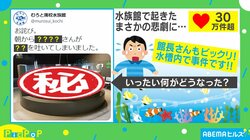 イカを水槽内に入れた結果…"まさかの悲劇"に水族館陳謝 「大変でしょうが頑張って下さい」励ましの声