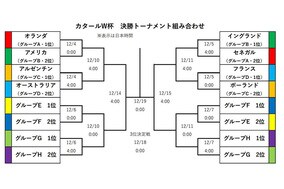 【W杯｜30日結果まとめ】アルゼンチン、ポーランド、豪州がベスト16入り　メキシコは得失点差で無念のグループ敗退