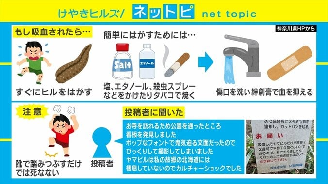 「必ず殺して下さい」市役所が設置した“物騒すぎる”看板がSNSで話題 3枚目