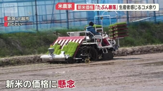 新米の価格に懸念