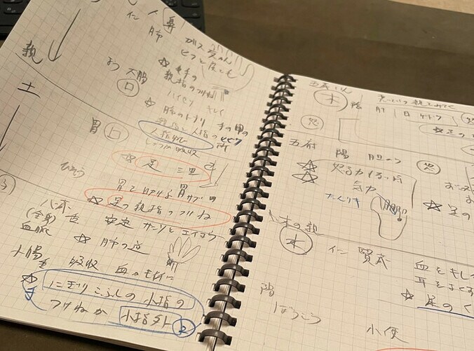  市川海老蔵、子ども達の体調不良時に備えてやったこと「素晴らしい」「良い父親」の声  1枚目