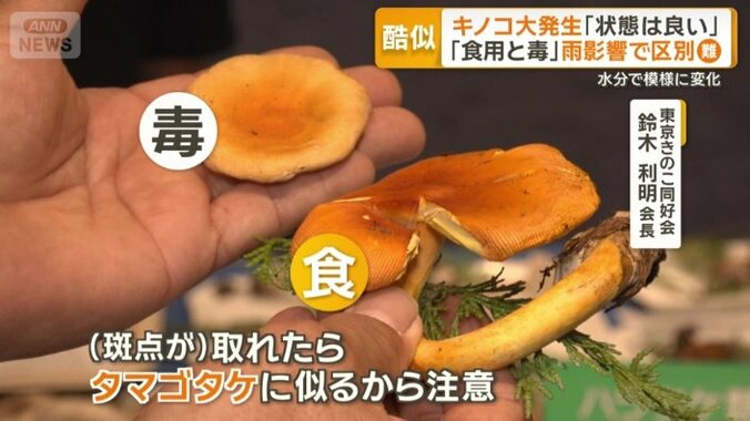 斑点が取れるケースも