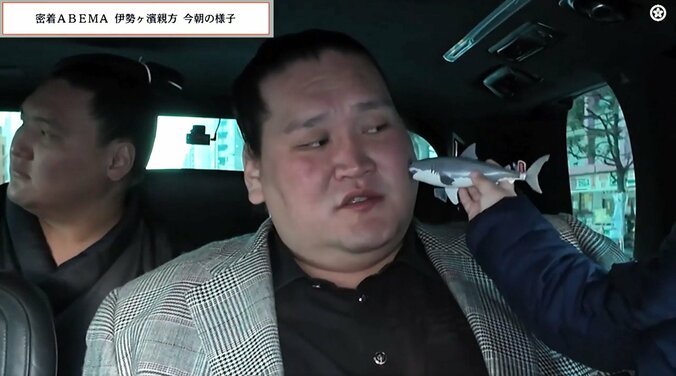 元若乃花「なんですか？（笑）」元照ノ富士、まさかの素顔にほっこり「引退 伊勢ヶ濱襲名披露大相撲」で国技館へ向かう車内で 2枚目