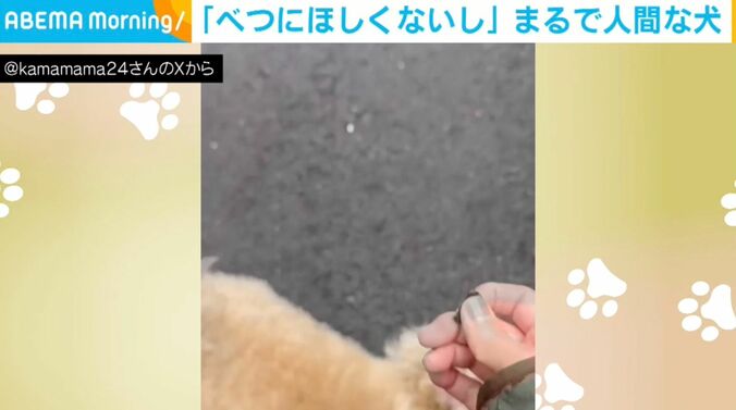 犬のかまぼこくん