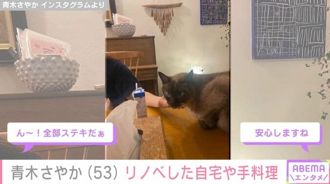 青木さやかの自宅