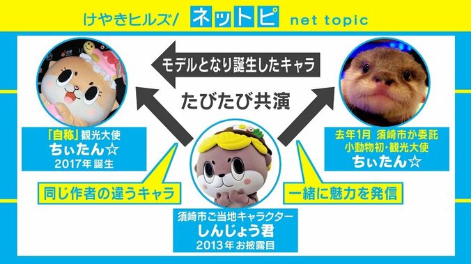 「ちぃたん☆」解任劇の真相とは？ カワウソめぐる“三角関係”を解説 1枚目