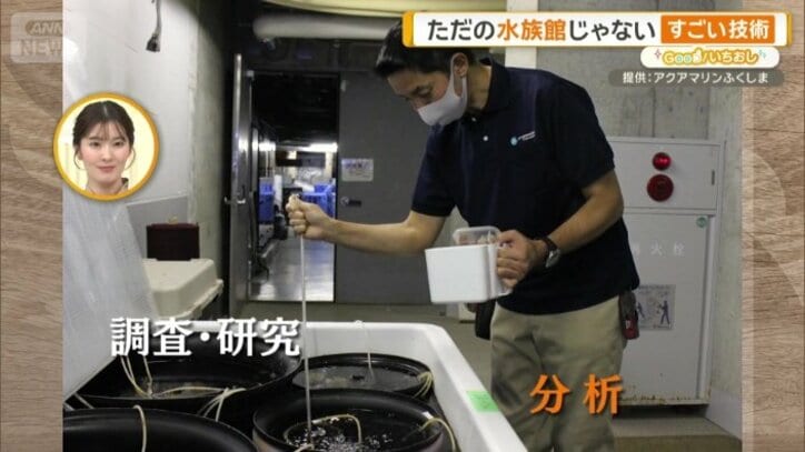 海洋科学館としての一面も