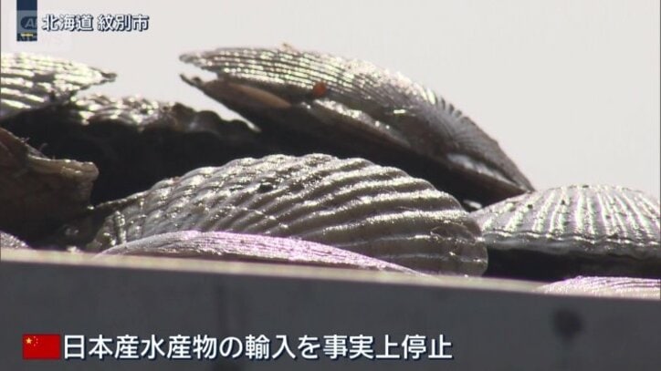 日本産水産物の輸入を事実上停止