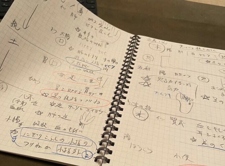  市川海老蔵、子ども達の体調不良時に備えてやったこと「素晴らしい」「良い父親」の声 