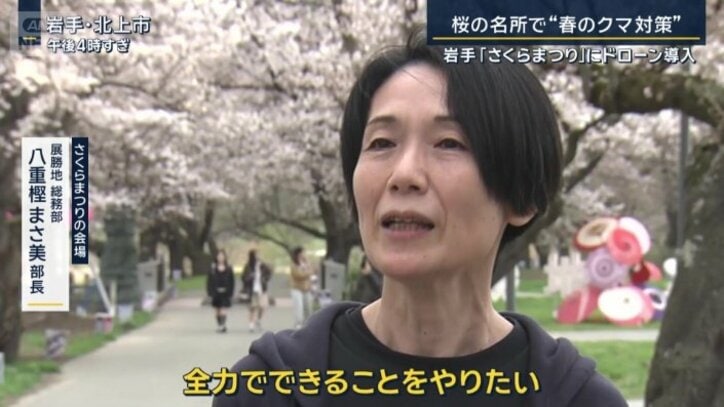 さくらまつりの会場　展勝地総務部　八重樫まさ美部長