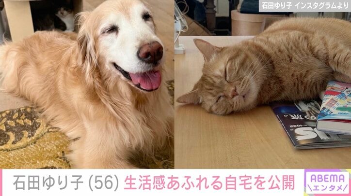 石田ゆり子 Instagramより