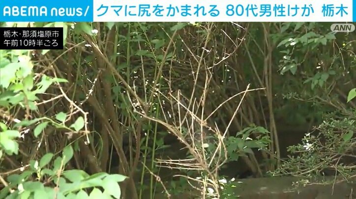 栃木・那須塩原市