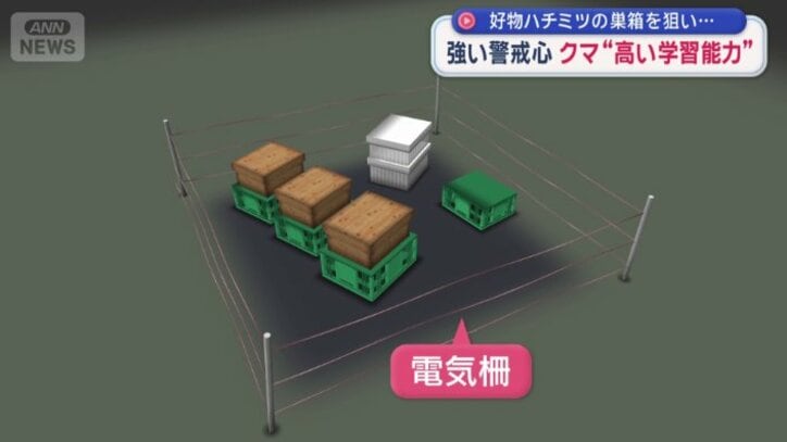 巣箱の周りには電気柵