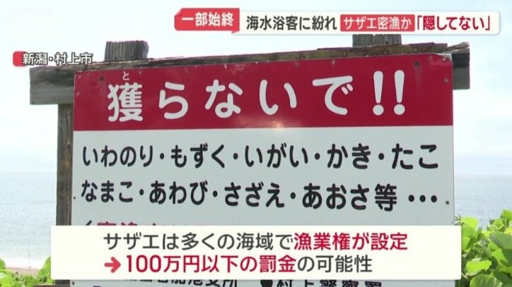 100万円以下の罰金が科せられる可能性も