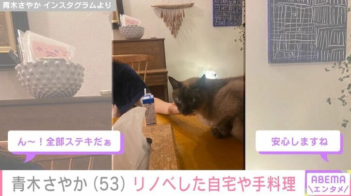 青木さやかの自宅