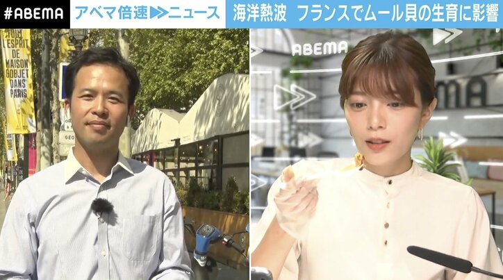 「カニ被害知って」ムール貝、収穫量激減の理由…フランス養殖業者が悲痛