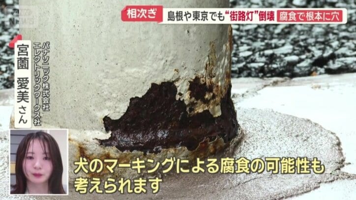 犬のマーキングによる腐食の可能性も