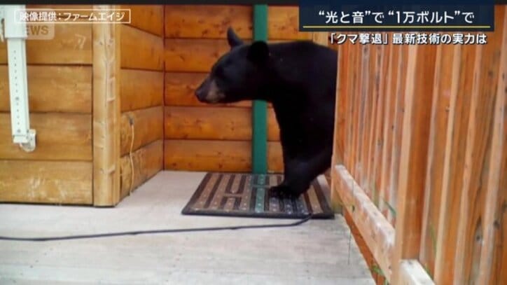 電気マット