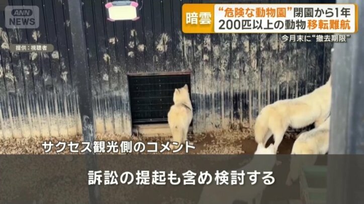サクセス観光側のコメント