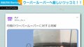 「得な生き物やね」母がウーパールーパにした“手厳しい見解” 大反響となり娘「超えられない壁を作られた気持ち」