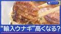 日本の食がピンチ「輸入ウナギ」高くなる?世界巻き込む“規制強化”議論