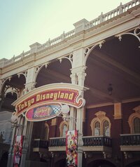 細川直美『TDL』