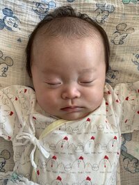 キンタロー。旦那『“ちびキン”ちゃん、夢の中で奮闘中。』