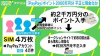 PayPay2000万円分 不正に現金化か