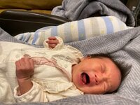 藤本美貴『次女と動画』