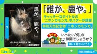え...カモシカって鹿じゃないの!?