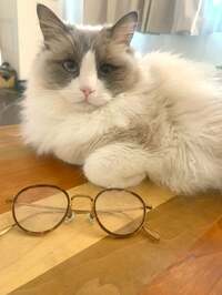 遠野なぎこ『“激痛なのです…ご理解下さい”』