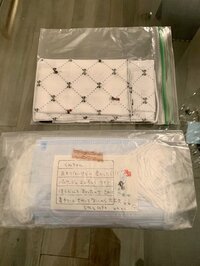 武田久美子『New Yorkから届いたマスク』
