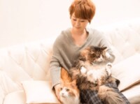 遠野なぎこ、プチ整形を行ったことを報告